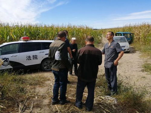 双辽法院 司法公正终化解 服务为民获表扬