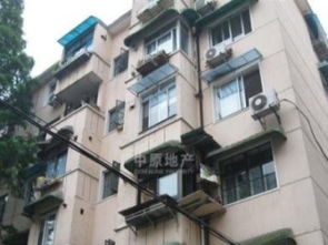 图 双辽支路45弄 南北通透 拎包入住近地铁 上海租房