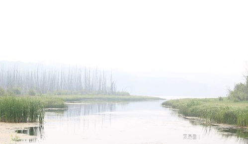双辽市, 位于吉林省东南部, 是全国农业综合开发重点县